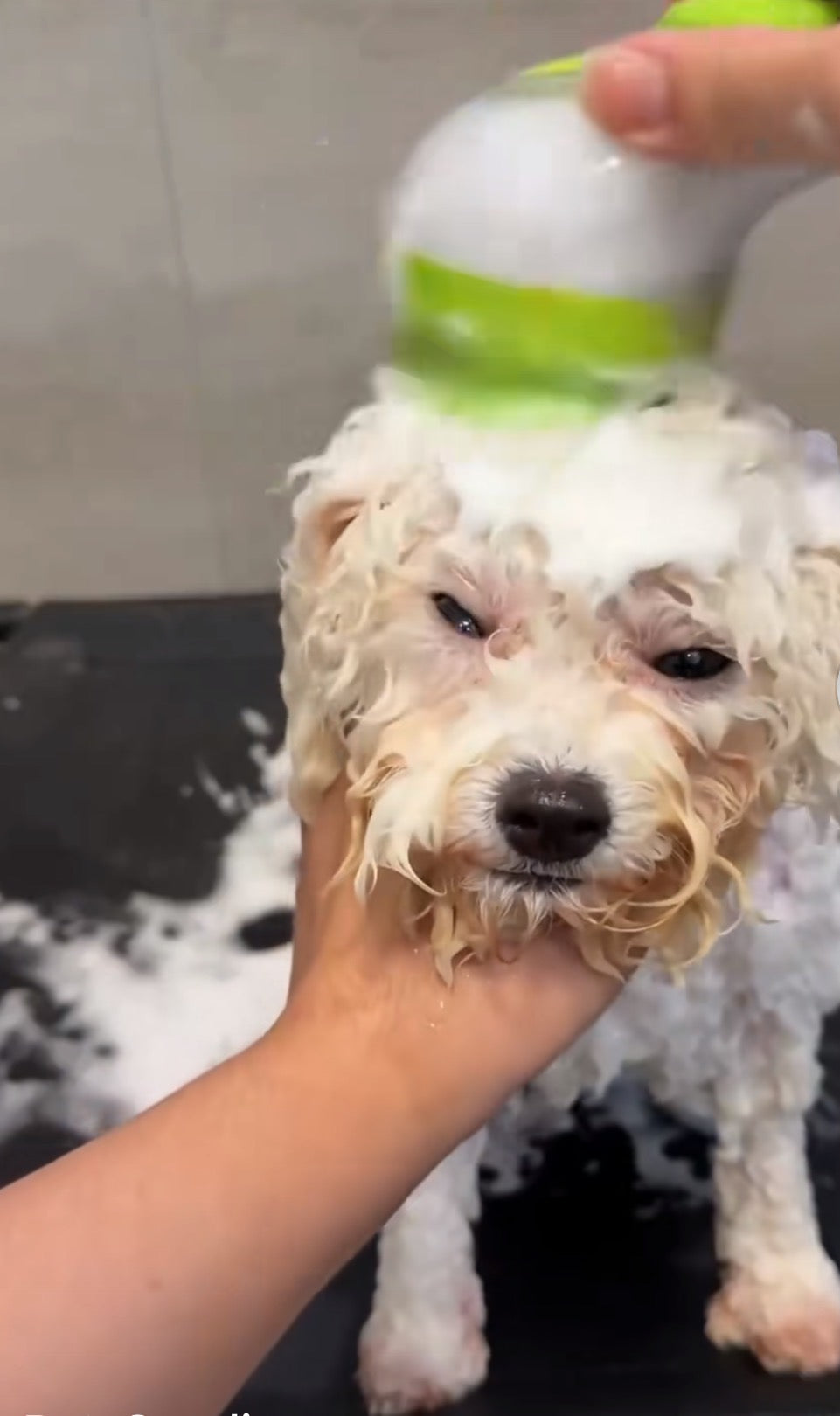 Honden Wasborstel met Shampoo Dispenser