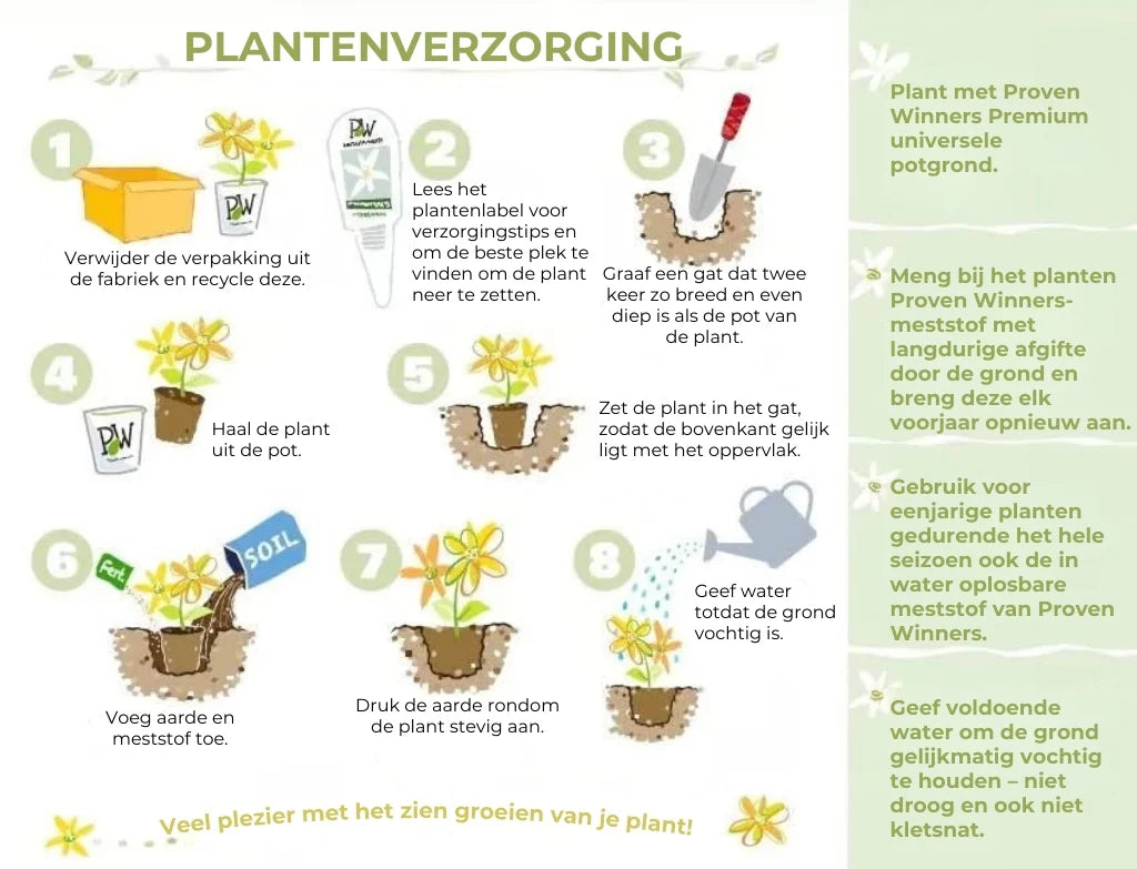 Biologische Jasmijnzaadjes - 100 Stuks