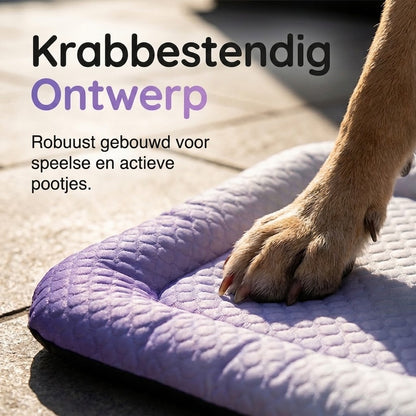 ❄️Gel Koelmat voor Huisdieren – Zomerse Koelmat, Ademend & Gifvrij, Geschikt voor Honden en Katten, Koel Slaapkussen🐶🐱
