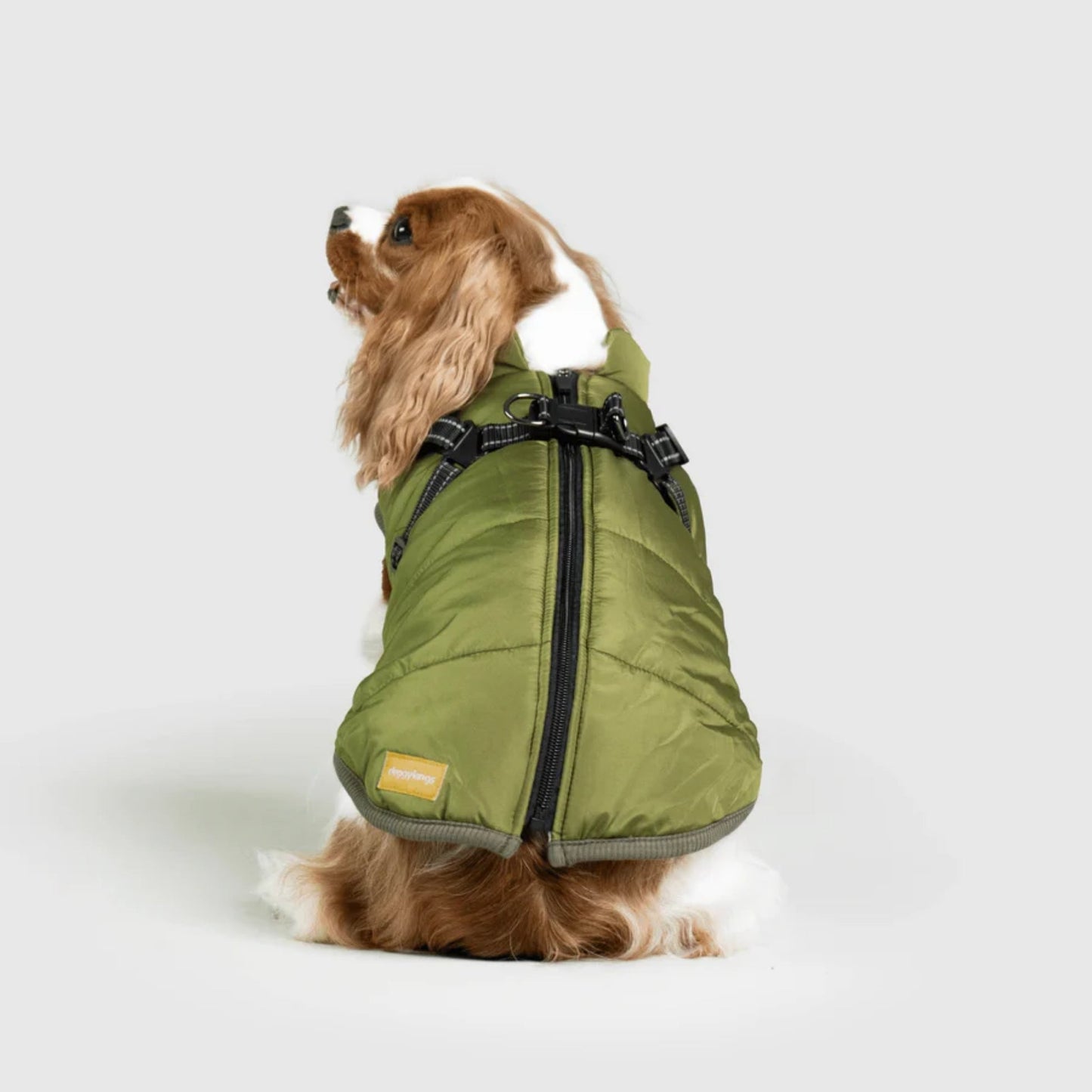 DoggyKings™ Hondenjas met Tuigje - Waterdicht & Warm (3-in-1 Design)
