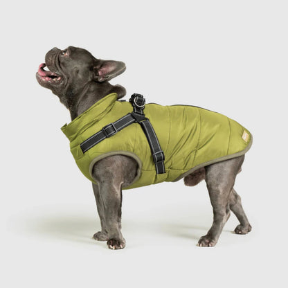 DoggyKings™ Hondenjas met Tuigje - Waterdicht & Warm (3-in-1 Design)