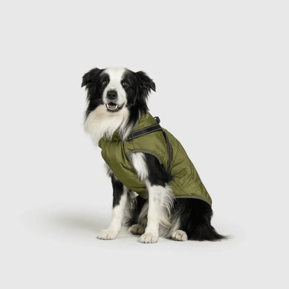 DoggyKings™ Hondenjas met Tuigje - Waterdicht & Warm (3-in-1 Design)