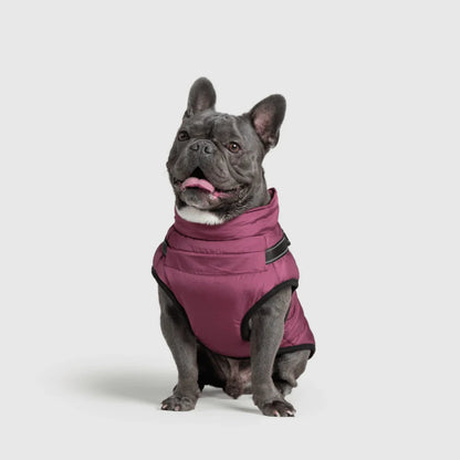 DoggyKings™ Hondenjas met Tuigje - Waterdicht & Warm (3-in-1 Design)