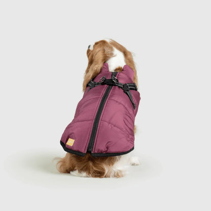 DoggyKings™ Hondenjas met Tuigje - Waterdicht & Warm (3-in-1 Design)