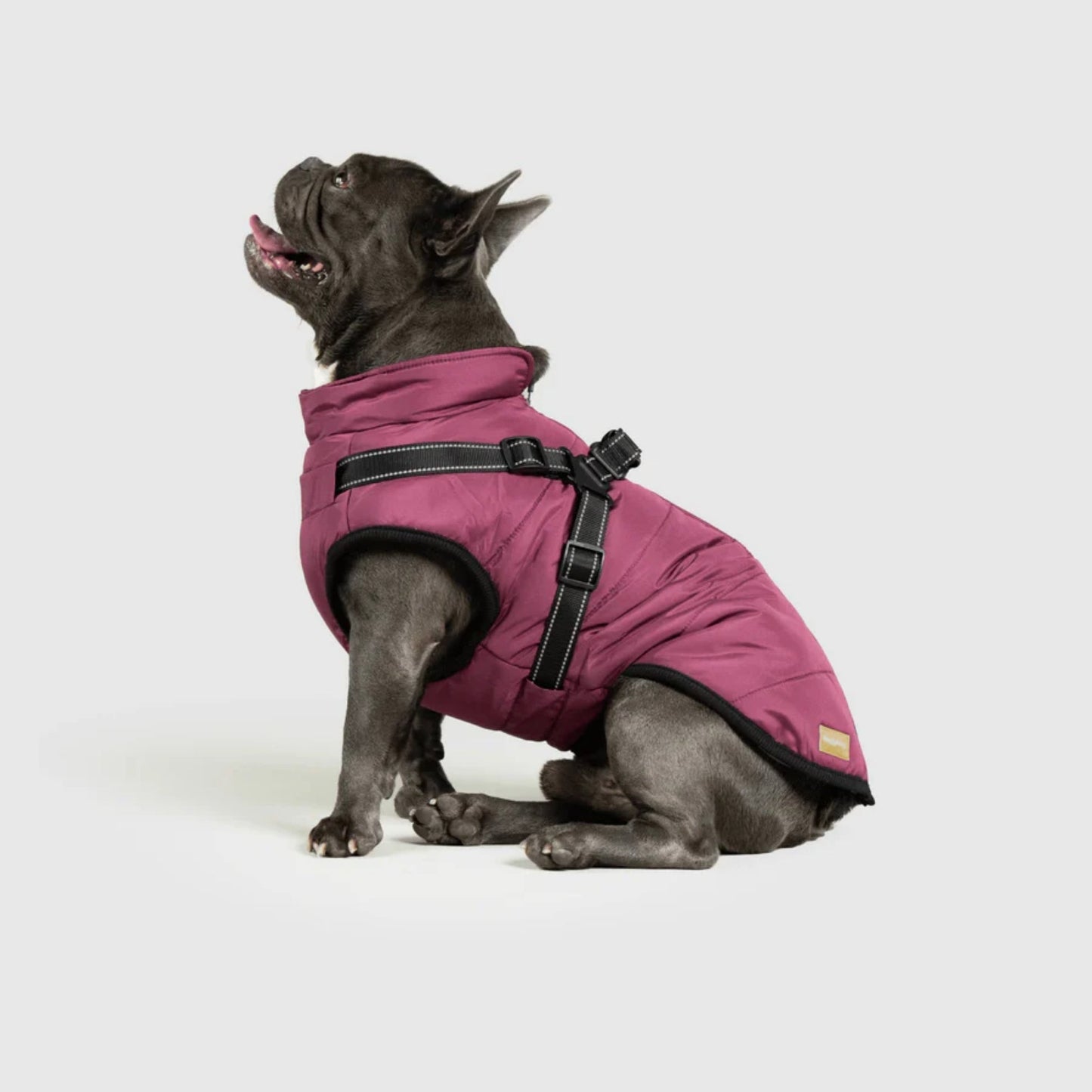 DoggyKings™ Hondenjas met Tuigje - Waterdicht & Warm (3-in-1 Design)