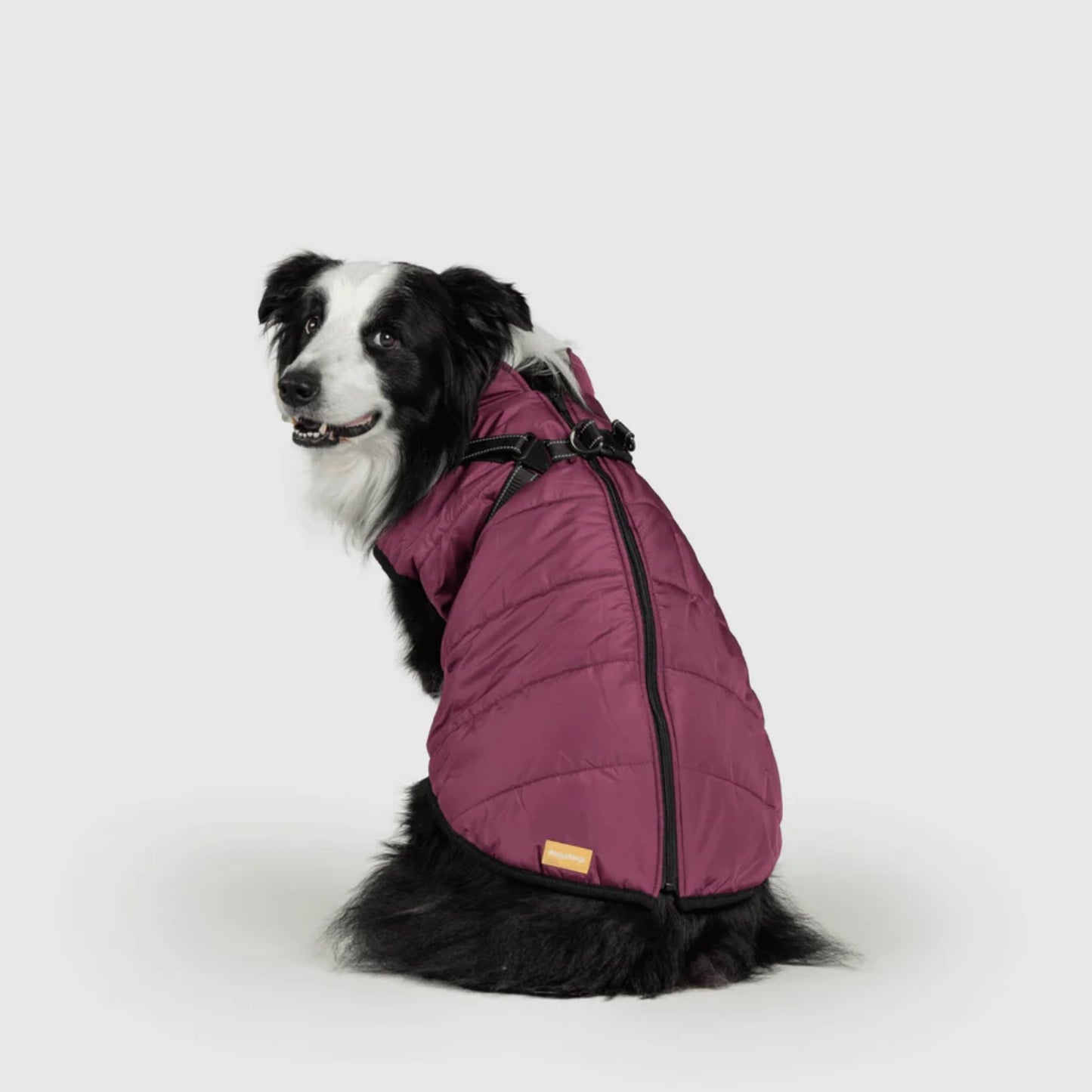 DoggyKings™ Hondenjas met Tuigje - Waterdicht & Warm (3-in-1 Design)