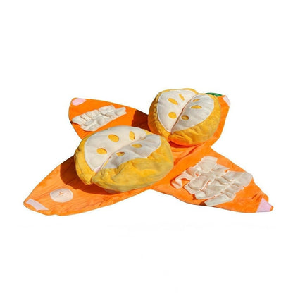 Interactief Snuffelspel Hond - Fruit Puzzel Knuffel met Verstopvakjes