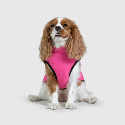 DoggyKings™ Hondenjas met Tuigje - Waterdicht & Warm (3-in-1 Design)
