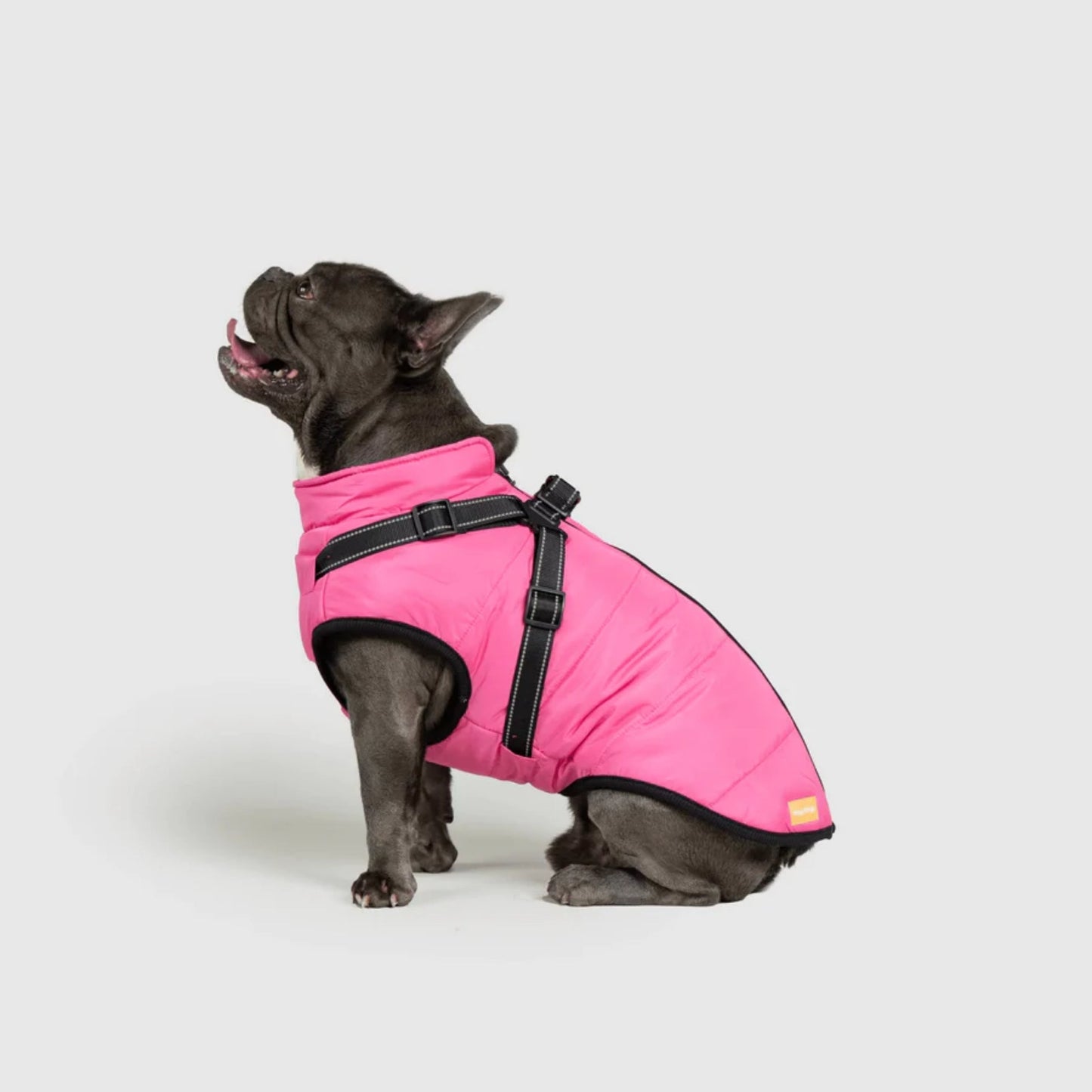 DoggyKings™ Hondenjas met Tuigje - Waterdicht & Warm (3-in-1 Design)