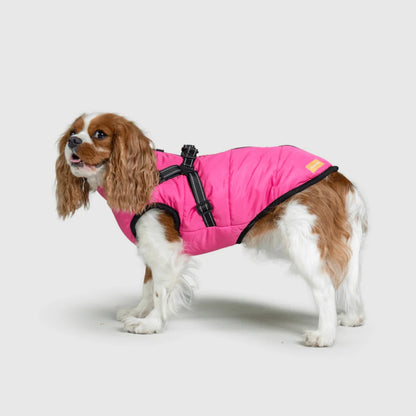 DoggyKings™ Hondenjas met Tuigje - Waterdicht & Warm (3-in-1 Design)