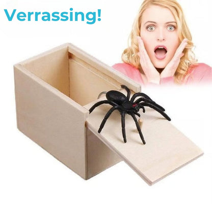 Grappige Spinnen Prank Box