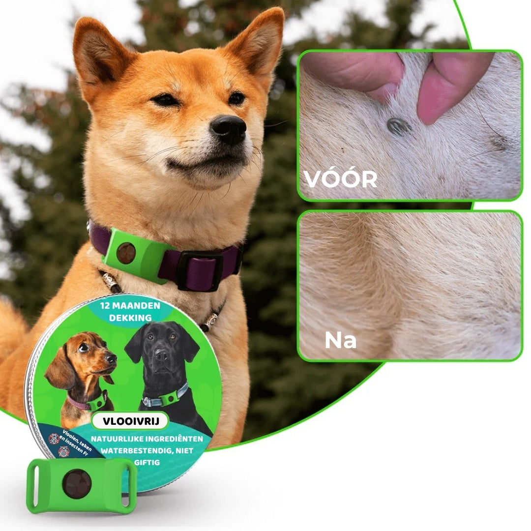 FurLife™ Vlooien- en Tekenband