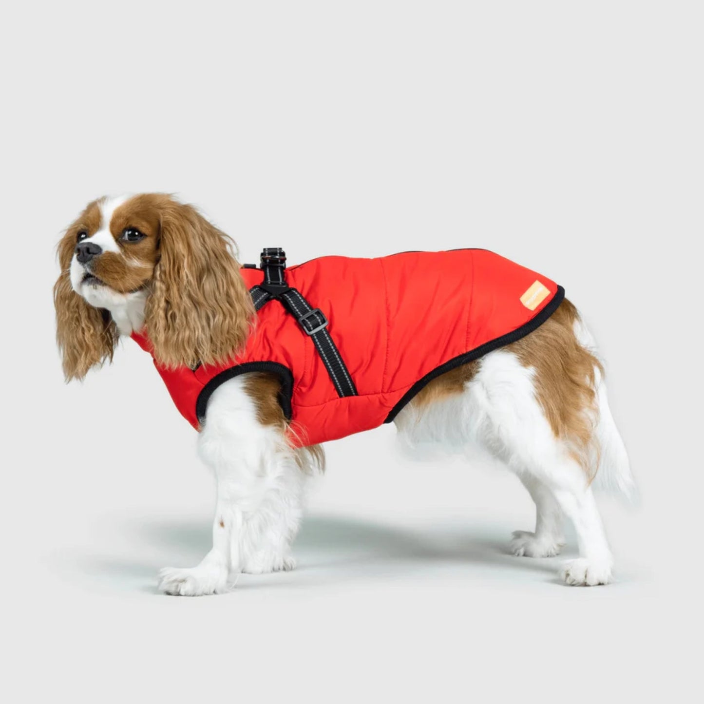 DoggyKings™ Hondenjas met Tuigje - Waterdicht & Warm (3-in-1 Design)