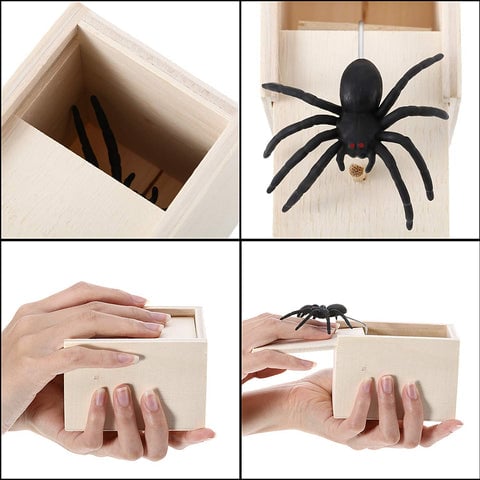 Grappige Spinnen Prank Box