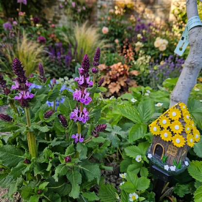 🍄💡FairyLight™ | Solarlampen – Verander je tuin in een sprookjeswereld