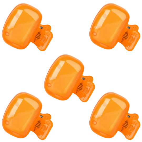 Hygiënische Draagbare Reistandenborstelset（1 Set 5 Stuks）