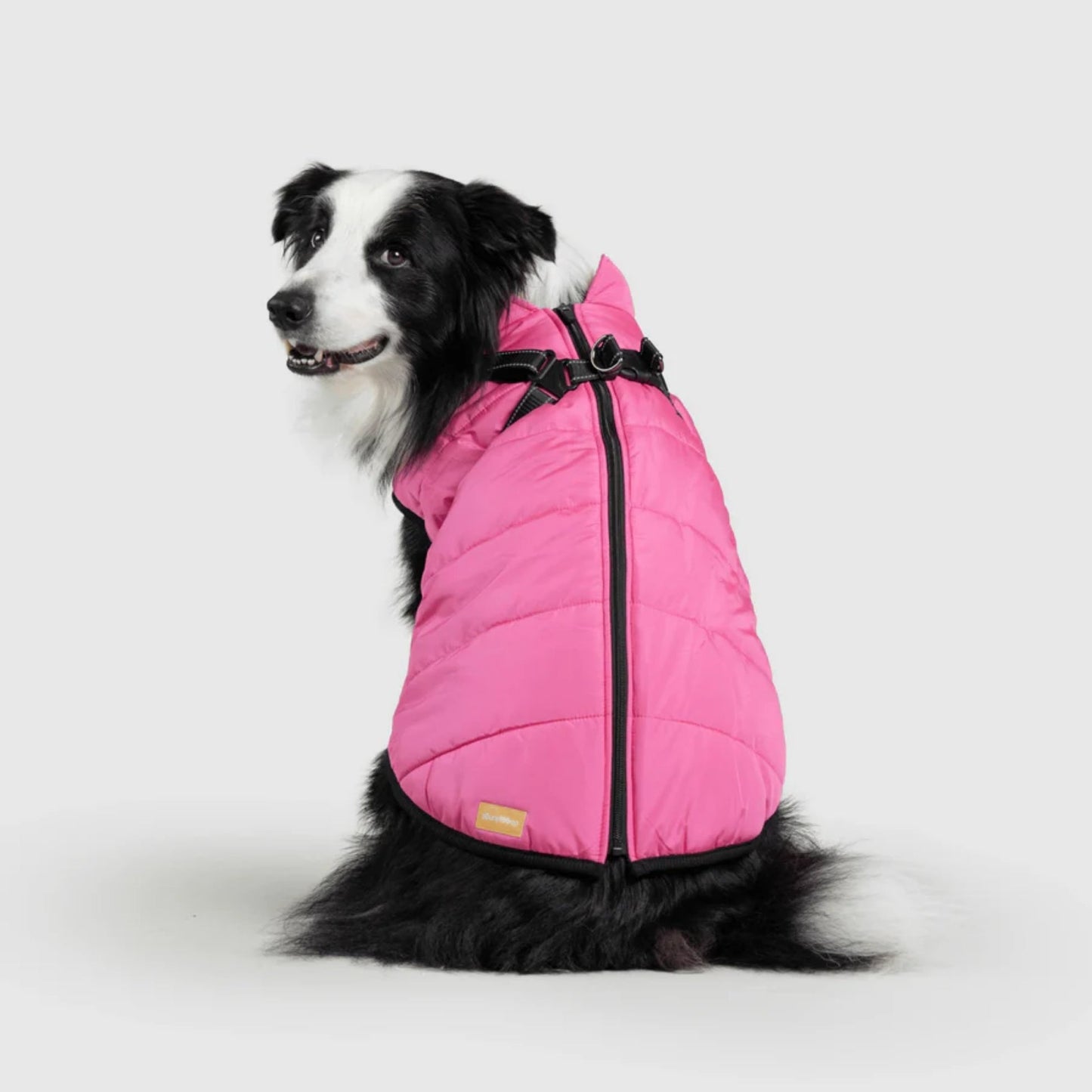 DoggyKings™ Hondenjas met Tuigje - Waterdicht & Warm (3-in-1 Design)
