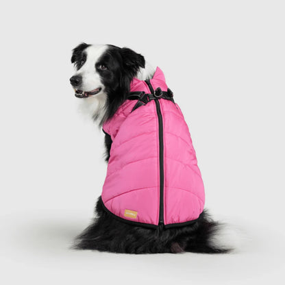 DoggyKings™ Hondenjas met Tuigje - Waterdicht & Warm (3-in-1 Design)