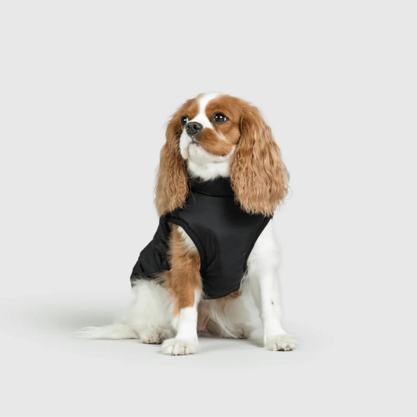 DoggyKings™ Hondenjas met Tuigje - Waterdicht & Warm (3-in-1 Design)