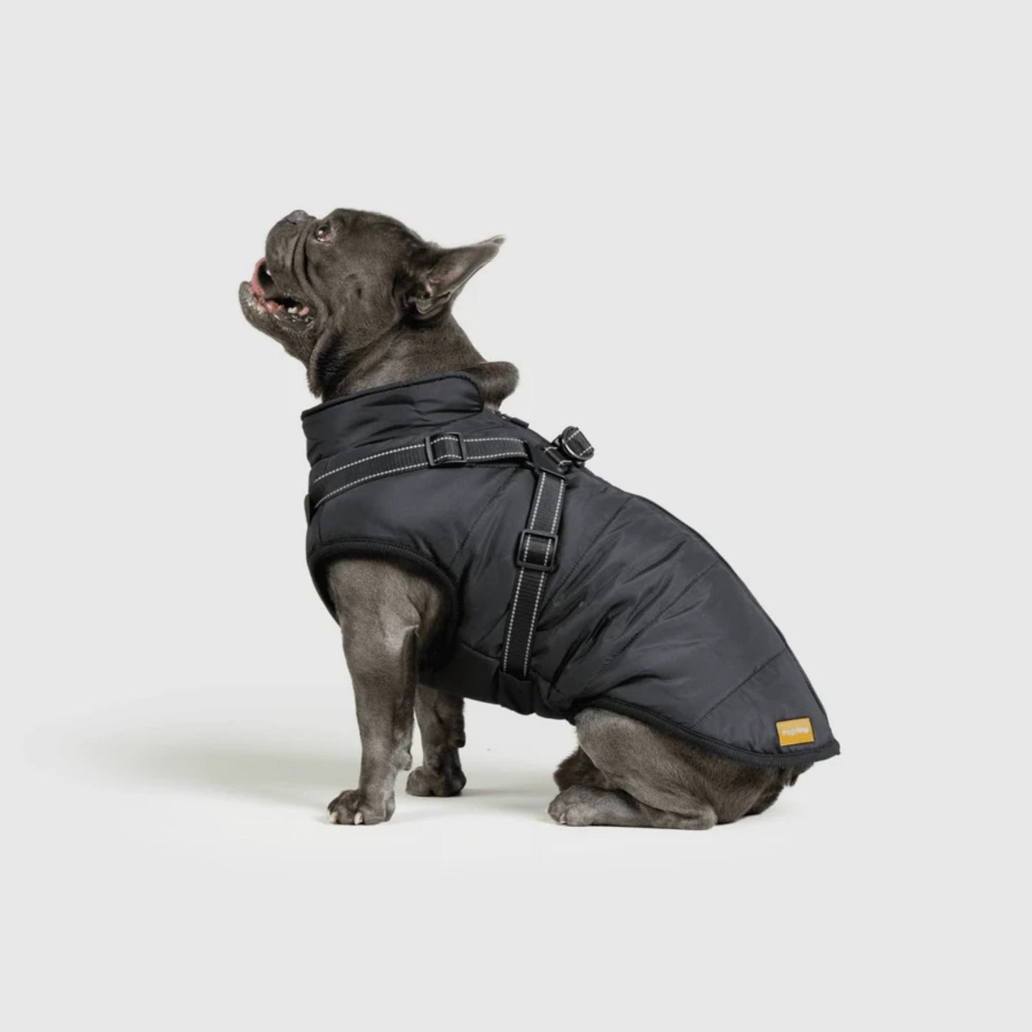 DoggyKings™ Hondenjas met Tuigje - Waterdicht & Warm (3-in-1 Design)