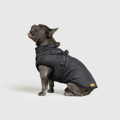 DoggyKings™ Hondenjas met Tuigje - Waterdicht & Warm (3-in-1 Design)