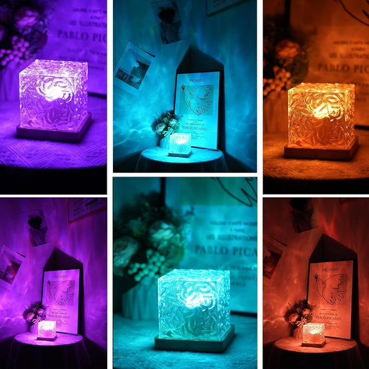 Noorderlicht Projector