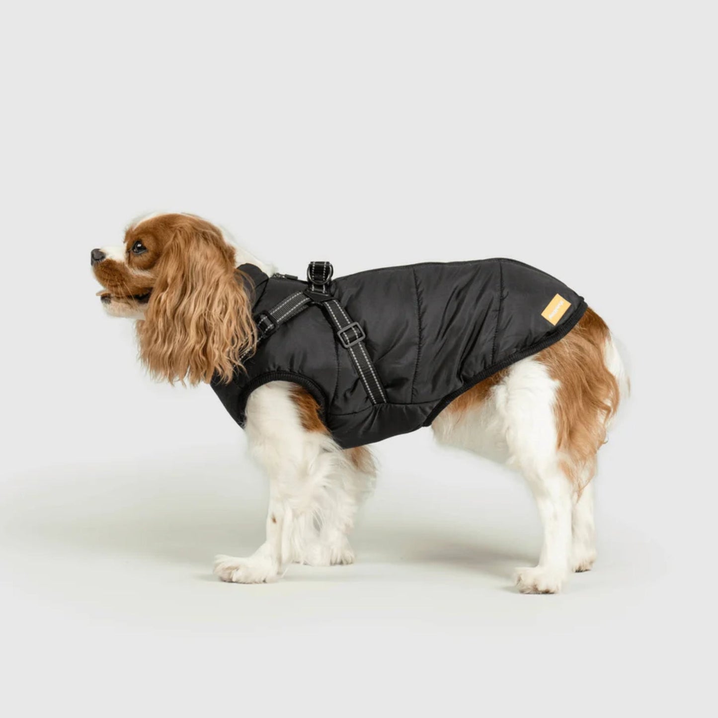 DoggyKings™ Hondenjas met Tuigje - Waterdicht & Warm (3-in-1 Design)