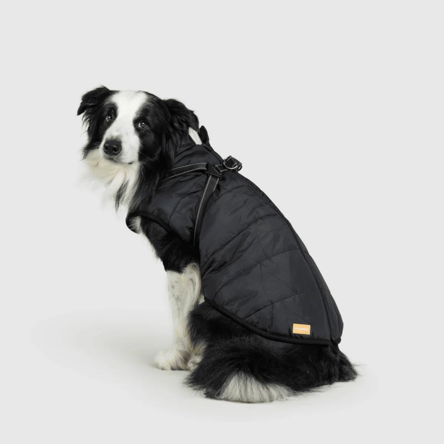 DoggyKings™ Hondenjas met Tuigje - Waterdicht & Warm (3-in-1 Design)