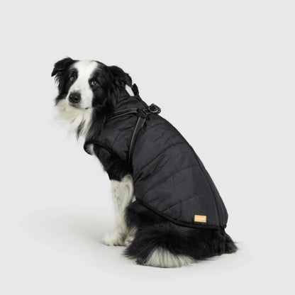 DoggyKings™ Hondenjas met Tuigje - Waterdicht & Warm (3-in-1 Design)