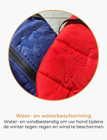 DoggyKings™ Hondenjas met Tuigje - Waterdicht & Warm (3-in-1 Design)