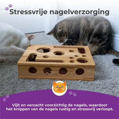 Katten Nagelvijl Krabplank - Stressvrij Nagels Vijlen tijdens Spelen (Puzzelbox).
