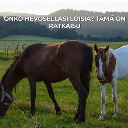 Ivermektiinipasta hevosille