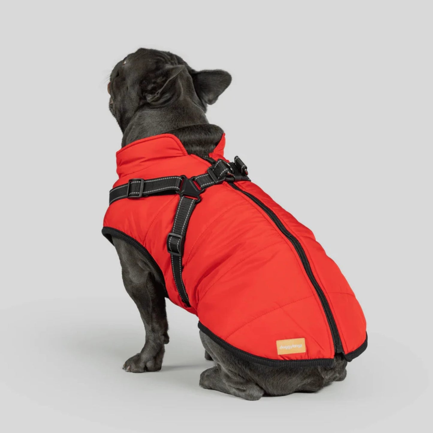 DoggyKings™ Hondenjas met Tuigje - Waterdicht & Warm (3-in-1 Design)