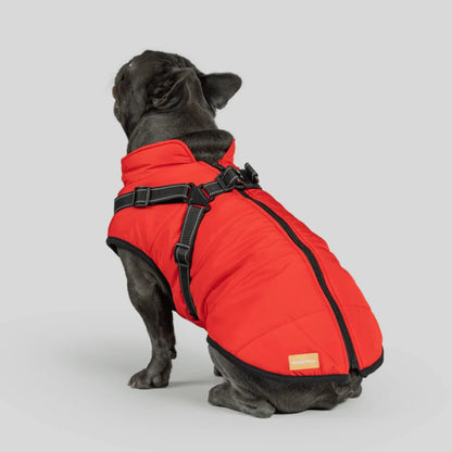 DoggyKings™ Hondenjas met Tuigje - Waterdicht & Warm (3-in-1 Design)