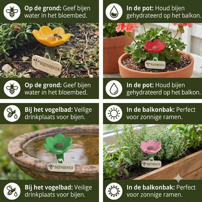Bloemvormige bijendrinker – kleurrijke drinkplaats in de tuin