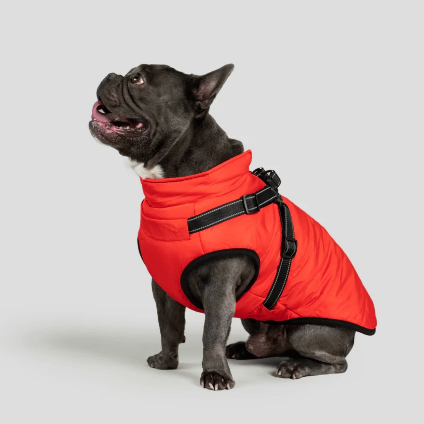 DoggyKings™ Hondenjas met Tuigje - Waterdicht & Warm (3-in-1 Design)