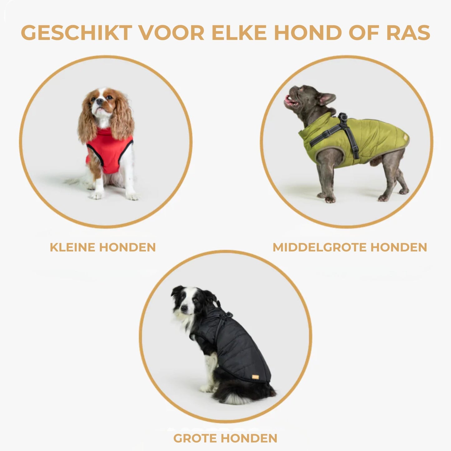 DoggyKings™ Hondenjas met Tuigje - Waterdicht & Warm (3-in-1 Design)