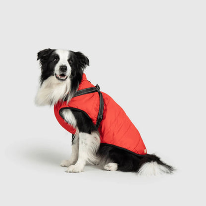 DoggyKings™ Hondenjas met Tuigje - Waterdicht & Warm (3-in-1 Design)