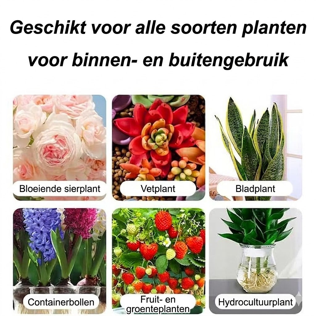 Plantenvoeding Oplossing