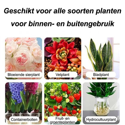 Plantenvoeding Oplossing