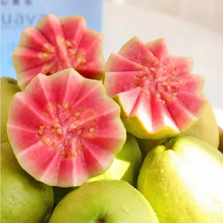 Biologische Roze Guavezaden - 60 Stuks