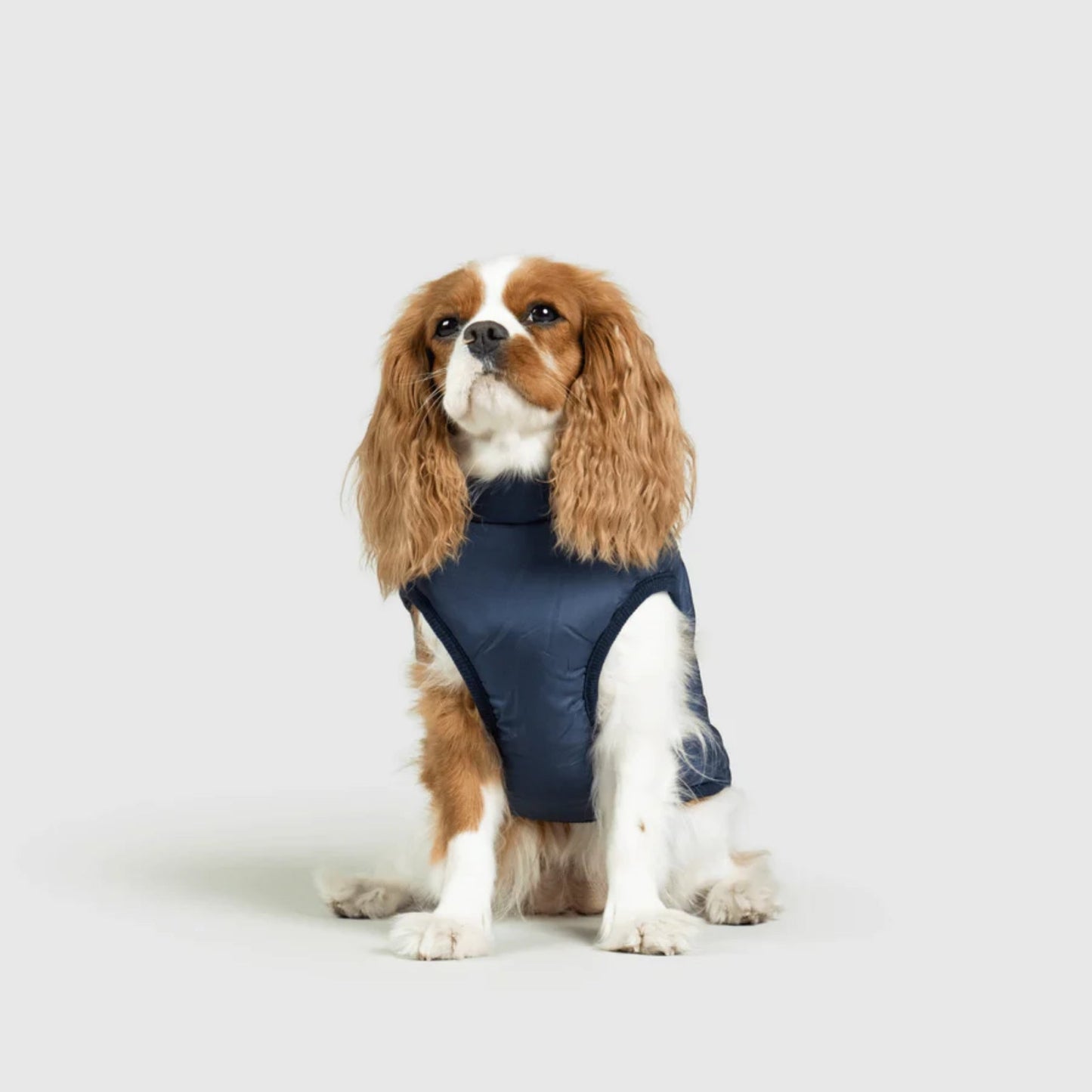 DoggyKings™ Hondenjas met Tuigje - Waterdicht & Warm (3-in-1 Design)