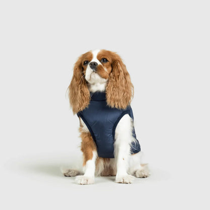 DoggyKings™ Hondenjas met Tuigje - Waterdicht & Warm (3-in-1 Design)