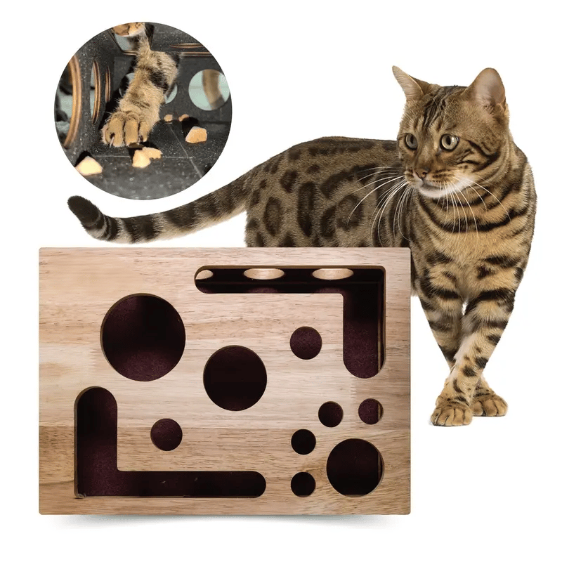 Katten Nagelvijl Krabplank - Stressvrij Nagels Vijlen tijdens Spelen (Puzzelbox).