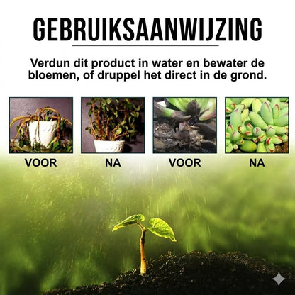 Plantenvoeding Oplossing
