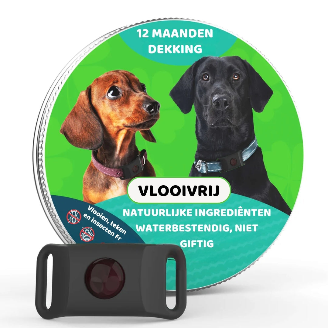 FurLife™ Vlooien- en Tekenband