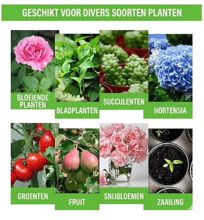 Plantenvoeding Oplossing