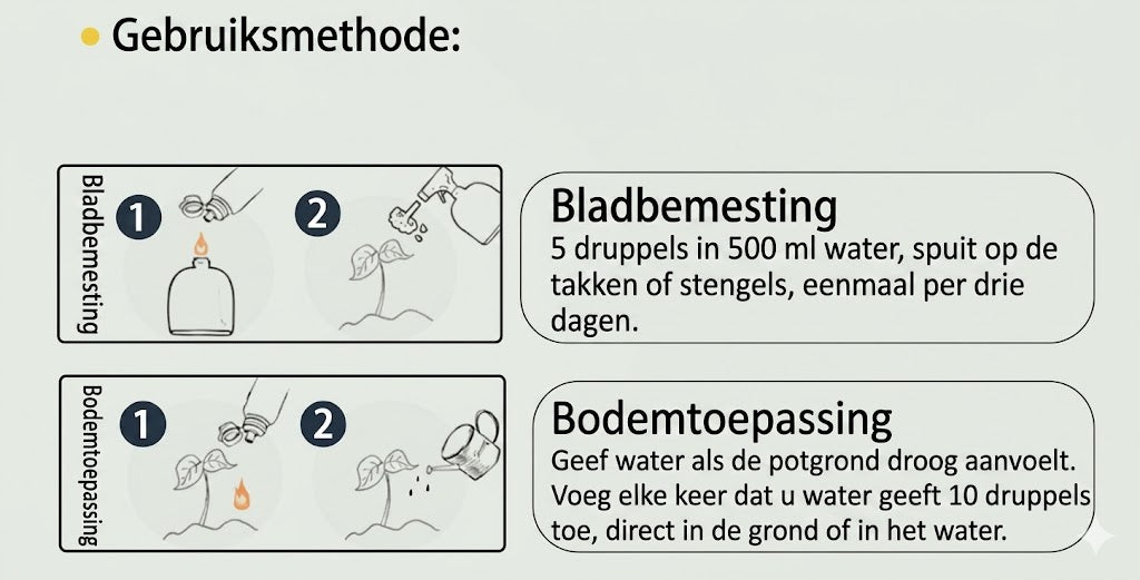 Plantenvoeding Oplossing