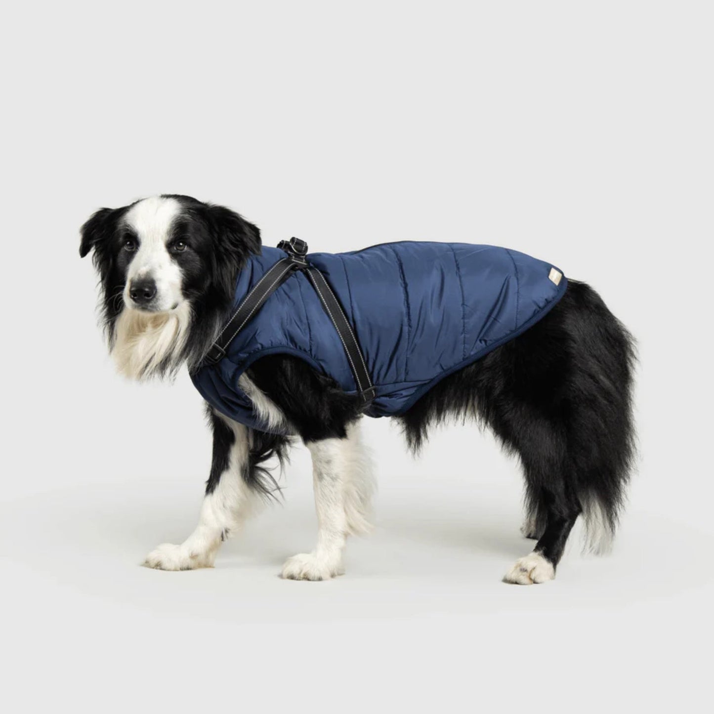 DoggyKings™ Hondenjas met Tuigje - Waterdicht & Warm (3-in-1 Design)