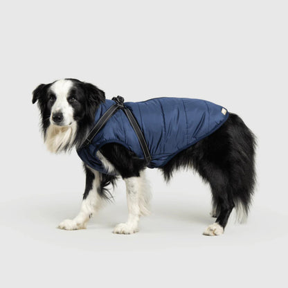 DoggyKings™ Hondenjas met Tuigje - Waterdicht & Warm (3-in-1 Design)